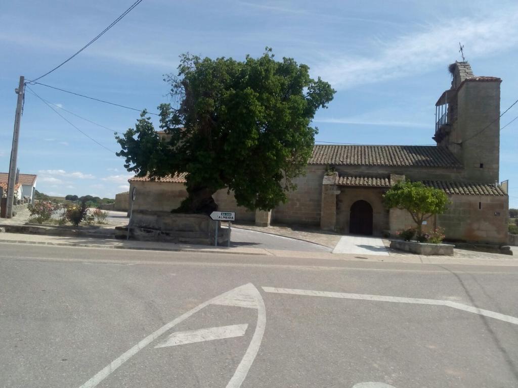 Pension El Abuelo Carbellino Dış mekan fotoğraf