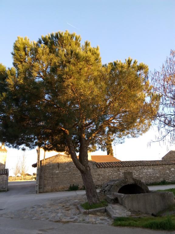 Pension El Abuelo Carbellino Dış mekan fotoğraf