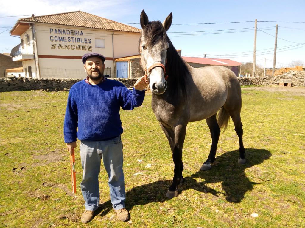 Pension El Abuelo Carbellino Dış mekan fotoğraf
