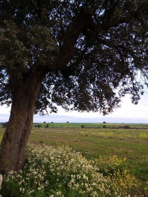 Pension El Abuelo Carbellino Dış mekan fotoğraf